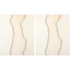 1 Count (Pack of 2)